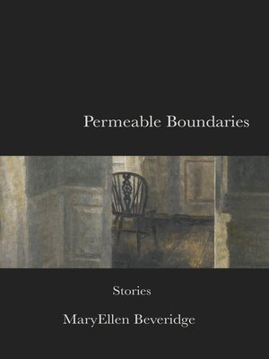 cover image of Permeable Boundaries